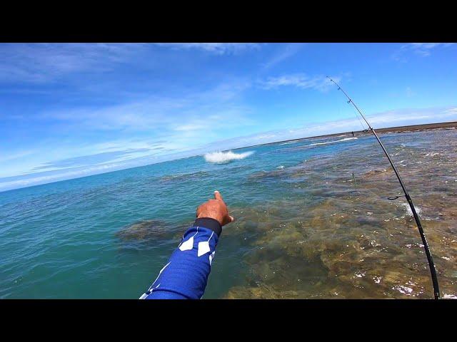 ERA PARA SER UMA PESCARIA DE VARINHA DE MÃO, O cardume de PEIXE GRANDE mudou tudo !!! ROCK FISHING.