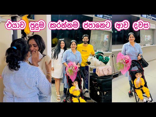 නංගිව අඩවපු surprise එක  | අම්මා ජපන් ආව දවස 