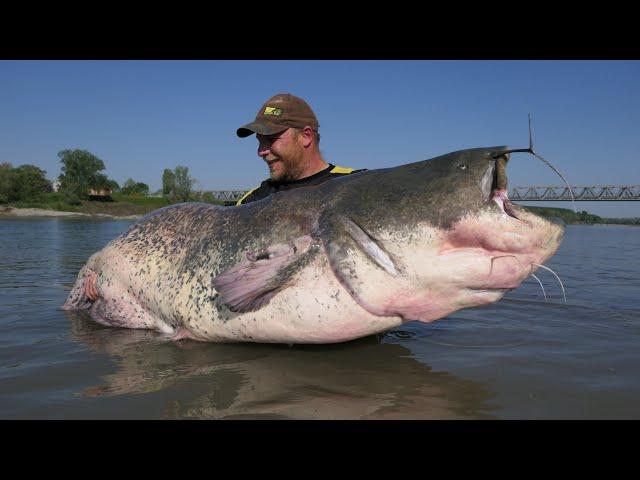 Brücken Monster/Fischen in Hindernissen/ Tipps & Tricks