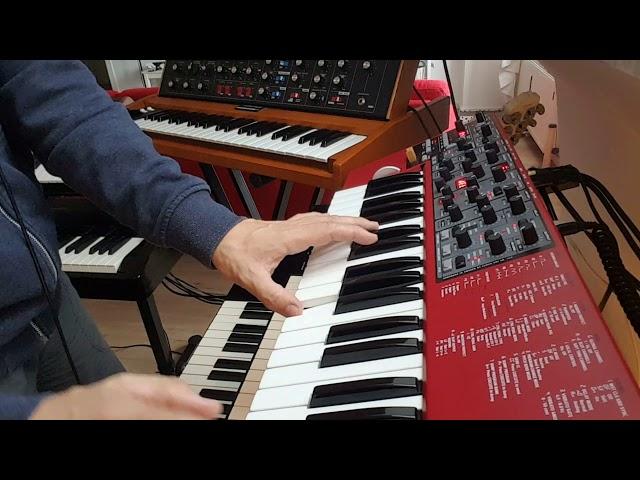 Nord Lead A1 vs Moog Voyager - a quick Lead Sound comparison