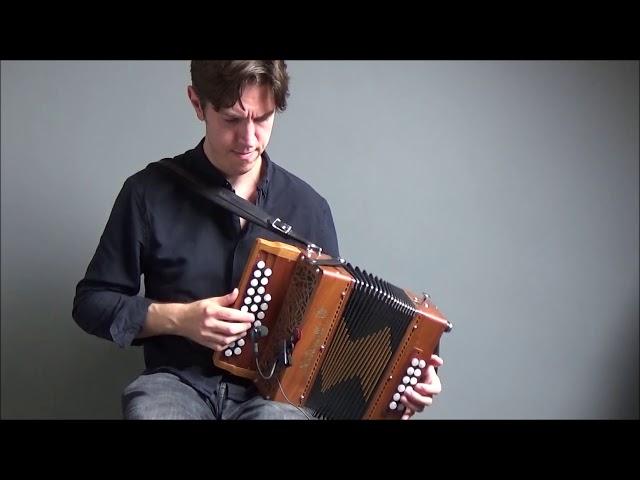 Sally Gardens / Knotted Cord - Irish reels, melodeon, accordion