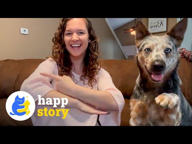 A Deaf Woman and Her Deaf Dog: An Inspiring Story of Love and Resilience| HAPP