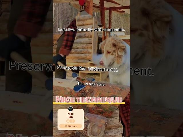 Let's enjoy the natural environment while living in small log cabins.#diy #excellentwoodworking