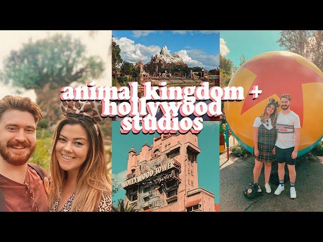 WALT DISNEY WORLD VLOGS! ANIMAL KINGDOM AND HOLLYWOOD STUDIOS - DAY 3 + 4 | LUCY WOOD [AD GIFTED]