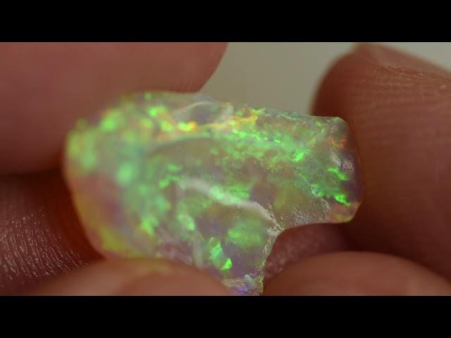 Shell Fossil Opal | Fossil Opal Raw Material from Coober Pedy | 貝殼化石蛋白石 | 化石オパール石