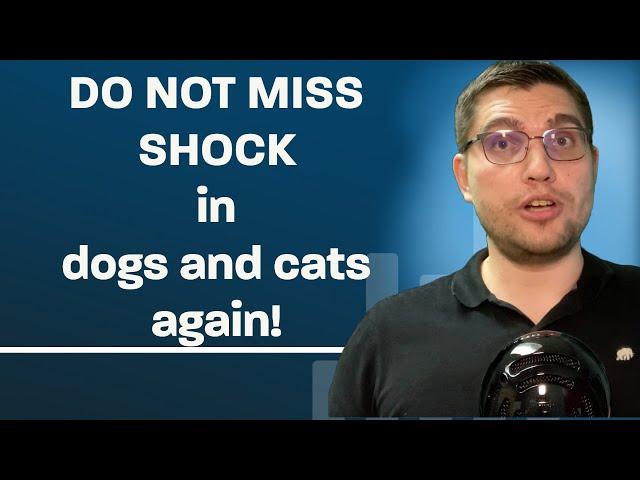 How to diagnose shock in dogs and cats