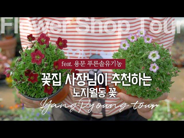 ENG) Korean flower shop tour! 