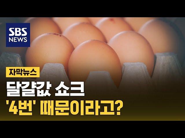 달걀값 쇼크, '4번' 때문이라고? (자막뉴스) / SBS