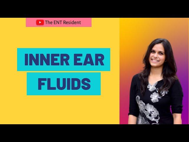 Inner Ear Fluids   Perilymph & Endolymph