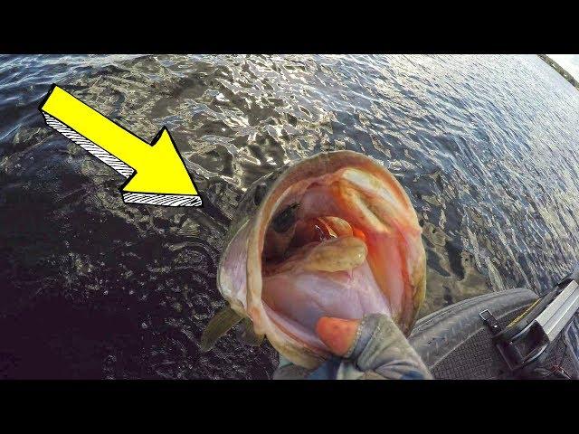 YouTuber vs PRO | FISHING Challenge PUNCHING for Bass!!!