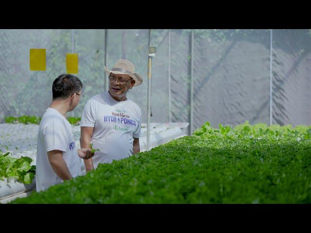 Katanim Goes Back to 3RJ Lettuce Farm