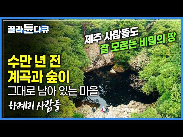 제주도에 있는데 제주 사람들도 잘 모르는 비밀의 장소 수만 년 전 화산 폭발로 생긴 계곡과 숲을 그대로 간직한 신비의 마을 '하례리' | 여행책에 없는 제주 | #골라듄다큐