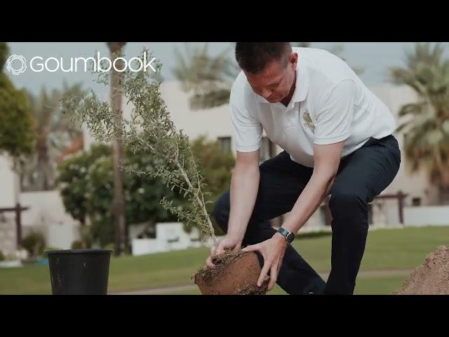 Goumbook x Desert Control | Tree Planting | Dubai, UAE | 2022 07 07