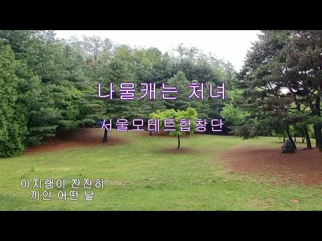 나물캐는 처녀 - 서울모테트합창단 (현제명 시,곡)