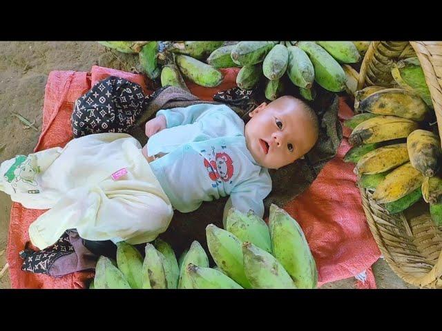 Banana Harvest and the Life of a Mother and Son