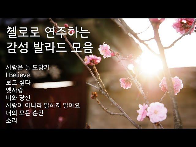 첼로로 연주하는 감성 발라드 모음 (feat. 중간광고없음)ㅣ사랑은 늘 도망가ㅣI Believeㅣ보고싶다ㅣ옛사랑ㅣ비와 당신ㅣ너의 모든 순간ㅣ이수현ㅣ악뮤ㅣ임영웅ㅣ엽기적인그녀