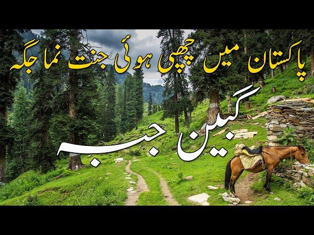 Gabin Jabba | Paradise of Pakistan | Swat Valley | Gabin Jabba Road Conditions | Travel Guide