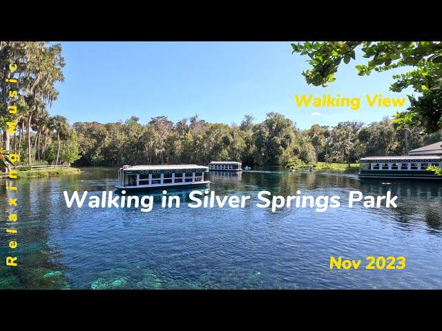 WALKING Silver Park - Florida - Relaxing Music 4K 60FPS