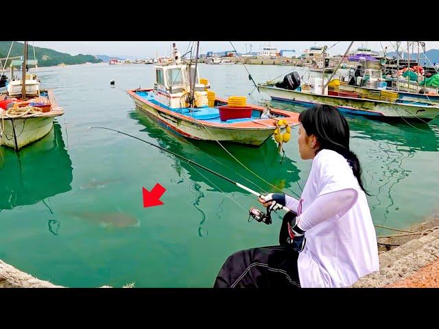 Female Fisherman Catching Big Fish Swimming Underfoot - Haenam (6)