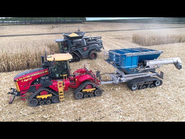 End of HARVEST in France | MF ideal 9T + Versatile delta track 610