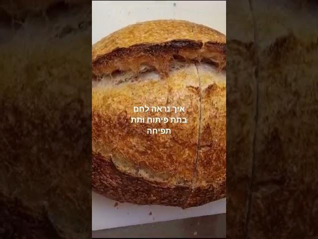 לחם בתת פיתוח ותת תפיחה - איך מזהים ואיך להימנע - פרטים בתיאור