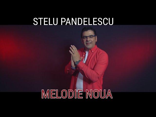 Stelu Pandelescu - Copiii mei (Official Video)