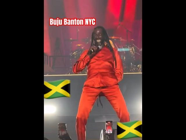 GargamelBuju Banton #nyc #bujubanton #dancehall #reggae #rasta #jamaica #jamaican