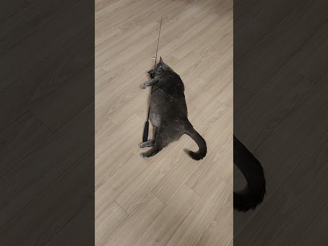 낚시광 뚱이