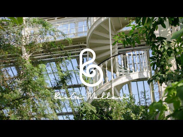 Stroll in a Green and Fresh Botanical Garden  Comfortable and Smooth Piano Music