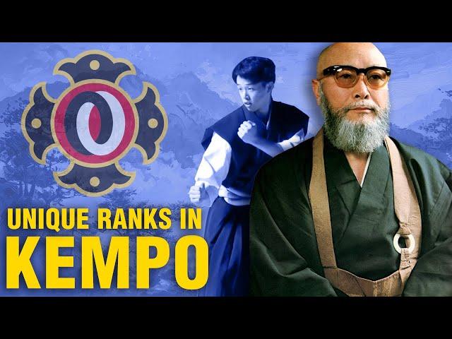 What is Shorinji Kempo?