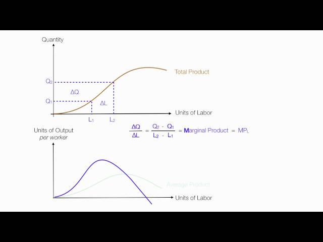 Introduction to Production Introduction (Average Product, Marginal Product, Total Product)