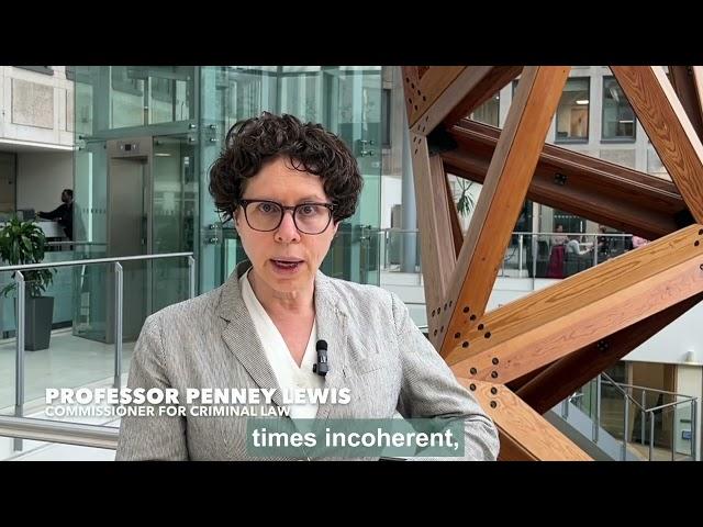 Contempt of Court Consultation 2024 - Professor Penney Lewis, Commissioner for Criminal Law