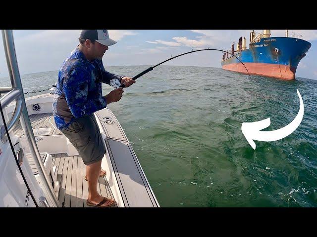 We Dropped A LIVE Bait Under This HUGE Ship And Caught The MOST Sought After Fish Around!