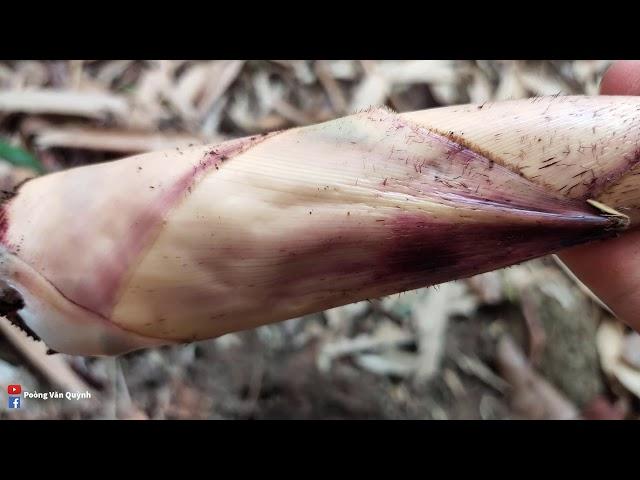 MĂNG ĐẮNG CANH  Poòng Văn Quỳnh