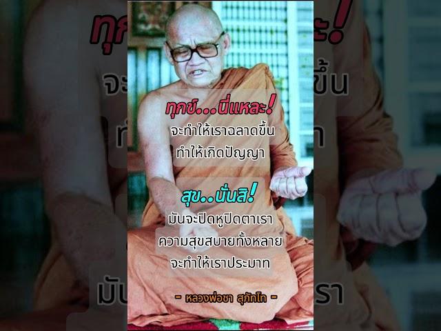 คำสอนของหลวงพ่อชา สุภัทโท