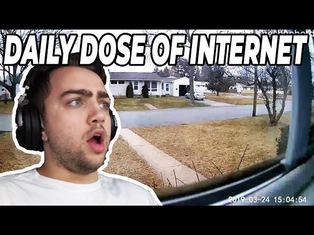 Mizkif REACTS TO DAILY DOSE OF INTERNET