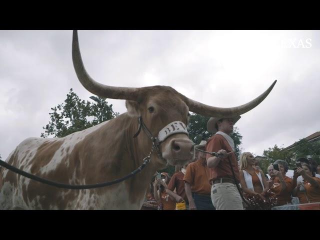 Be Inspired by UT Austin