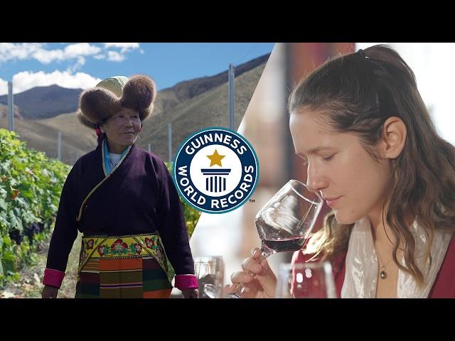 Highest Altitude Vineyard Makes Incredibly Unique Wine - Guinness World Records