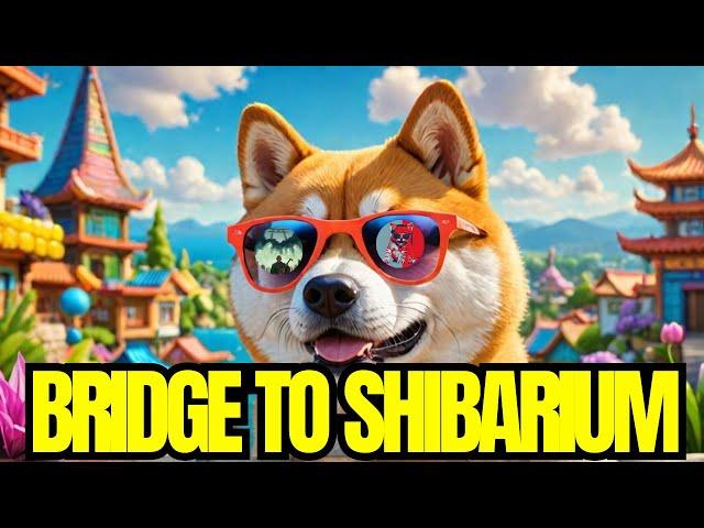 Bridge to Shiba Inu's Layer 2 Shibarium : Hoichi X Roaring Kitty