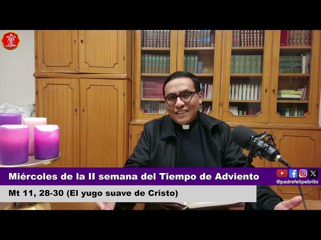 Evangelio de Hoy Miércoles 11 de diciembre 2024 | ️ | Padre Felipe Brito | Mt 11, 28-30