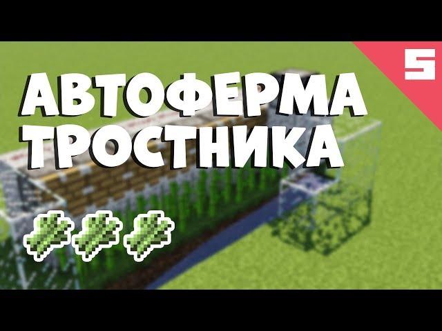 АВТО ФЕРМА ТРОСТНИКА В МАЙНКРАФТЕ.