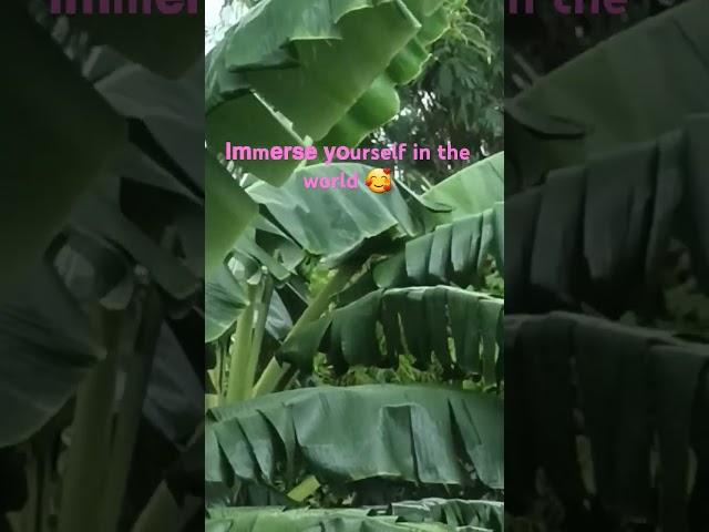 Enjoy the fragrance of nature ##