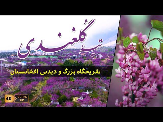 Afghanistan's big and spectacular playground | تپه گلغندی تفریحگاه بزرگ و دیدنی افغانستان