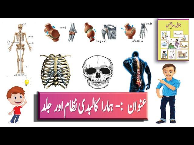 SKELETAL SYSTEM (کالبدی نظام- جماعت ششم)