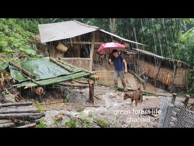 (Full video compilation part 4) 4 years living alone building farm. Robert |  Green forest life