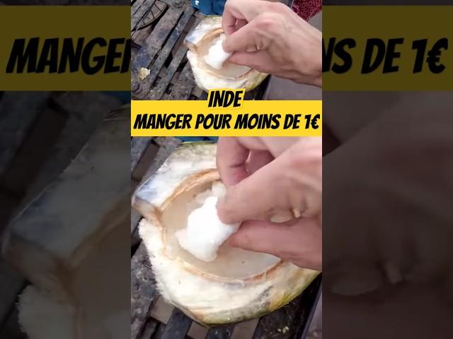 INDE : MANGER POUR MOINS DE 1€ #foodlover #foodies #india