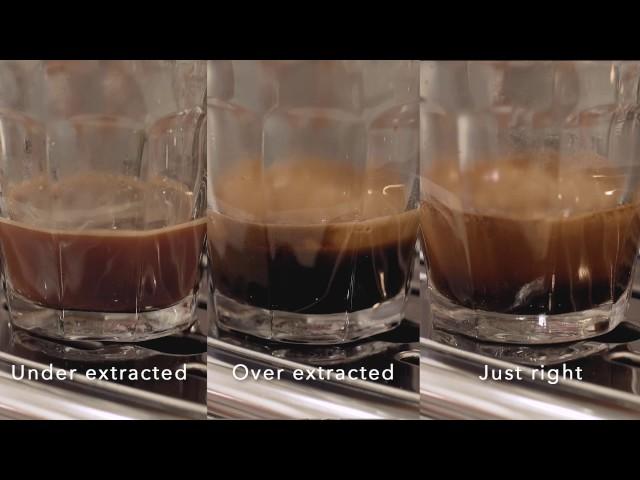 Extraction & Optimising Flavour – how to make great coffee