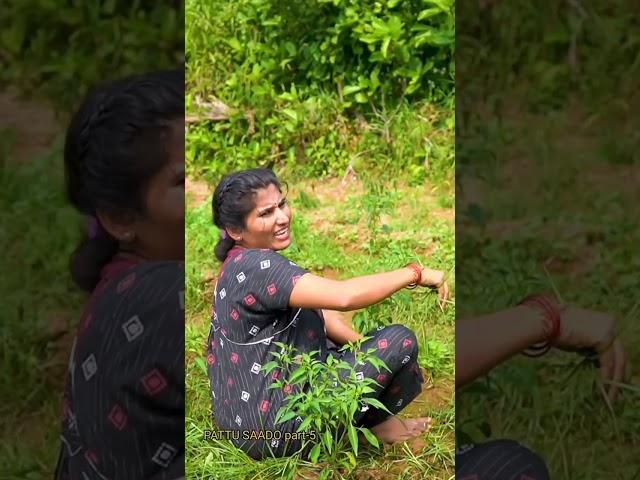 Banjara Comedy Video  Pattu Saado part-5  Fish Vinod Kumar And Kamli Banjara Comedy