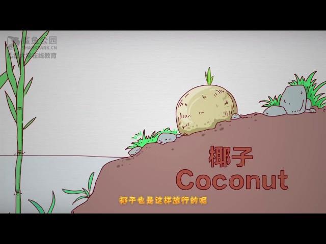 【科学动画片】种子的旅行
