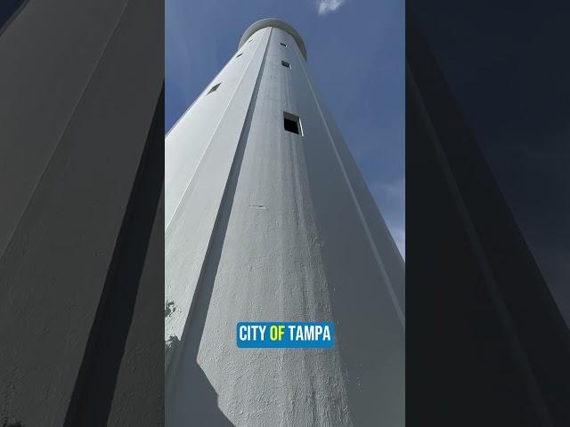 Sulphur Springs Water Tower #shorts #history #historical #tampa